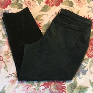 TALBOTS Size 20W Thin Ribbed Corduroy Pants Stretchy Cozy Dark Academia 5-pkt
